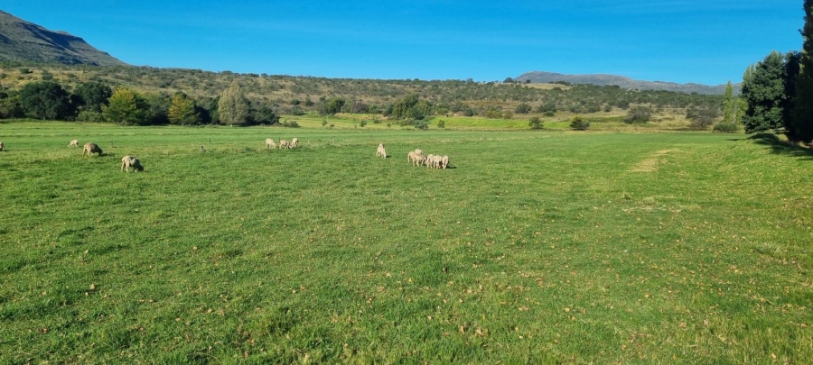 4 Bedroom Property for Sale in Queenstown Rural Eastern Cape